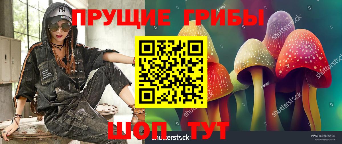 Галлюциногенные грибы мухоморы Узловая